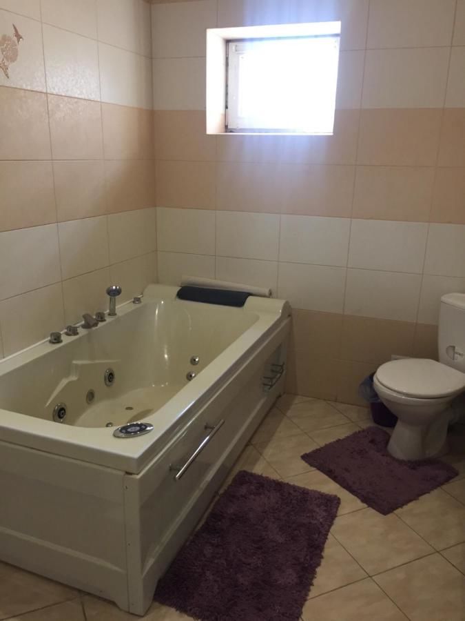 Отель Mini Hotel Business class Кривой Рог-26